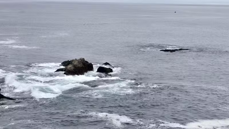 Ocean Cove Campground - Jenner, CA
