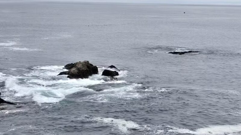 Ocean Cove Campground - Jenner, CA