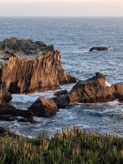 Stillwater Cove Regional Park - Jenner, CA