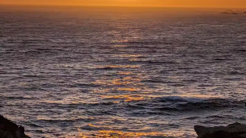 Stillwater Cove Regional Park - Jenner, CA