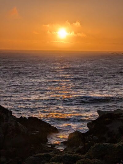 Stillwater Cove Regional Park - Jenner, CA