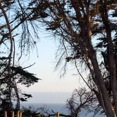 Stillwater Cove Regional Park - Jenner, CA