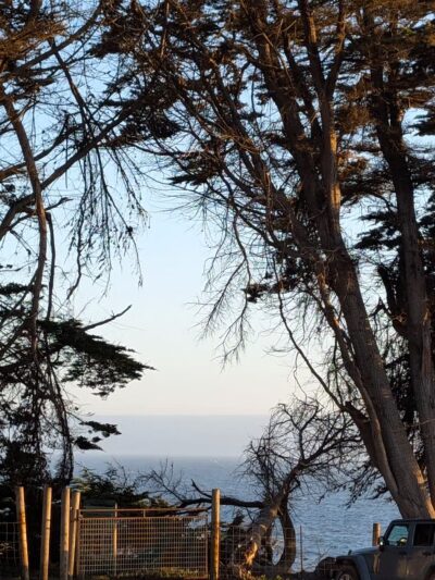 Stillwater Cove Regional Park - Jenner, CA