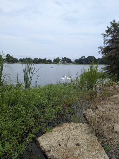 Oil and Gas Park - Jennings, LA