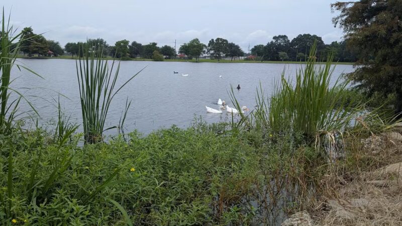 Oil and Gas Park - Jennings, LA