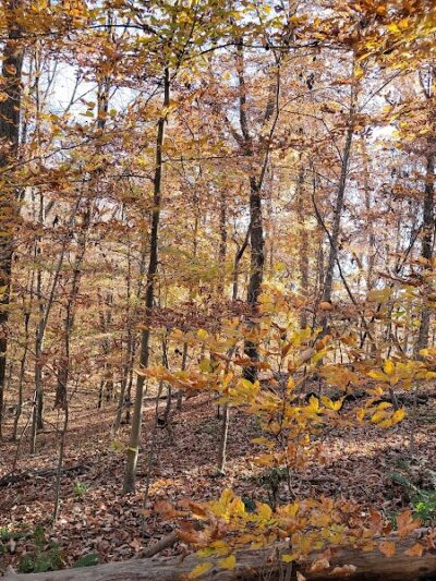 Wincopin Trails - Jessup, MD