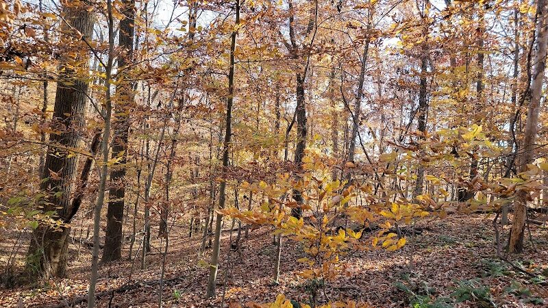 Wincopin Trails - Jessup, MD