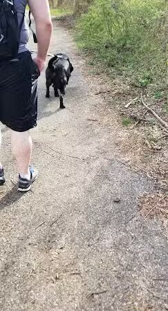 Wincopin Trails - Jessup, MD