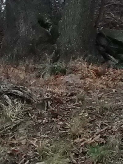 Fanning Park - Jewett City, CT