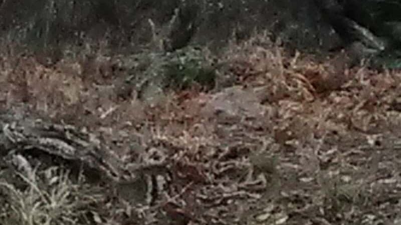 Fanning Park - Jewett City, CT