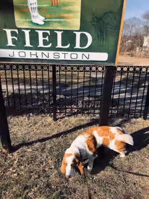 Cricket Field - Johnston, RI