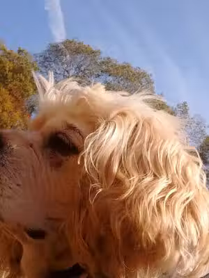 Snake Den State Park - Johnston, RI