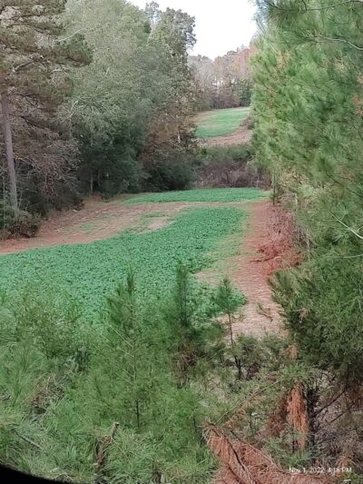 Leach Homestead campground - Johnston, SC