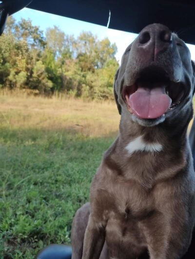 Leach Homestead campground - Johnston, SC