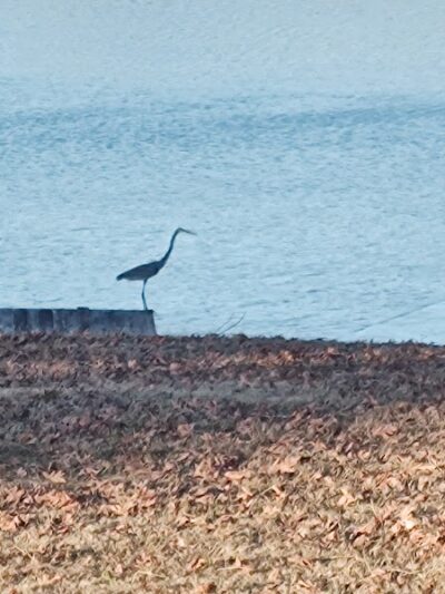 Leach Homestead campground - Johnston, SC