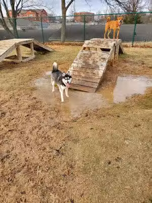 Midtown Dog Park - Jonesboro, AR