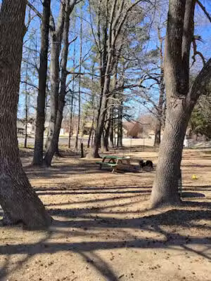 The Bark Park - Jonesboro, AR