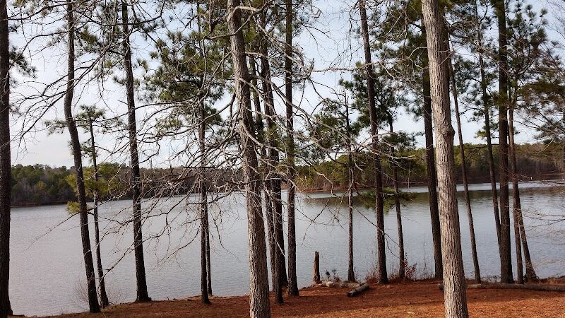 Dames Ferry Park - Juliette, GA