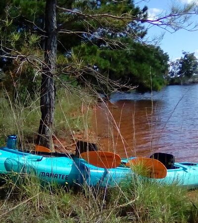 Dames Ferry Park - Juliette, GA