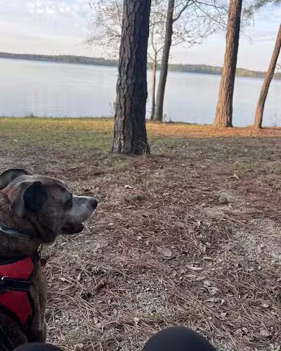 Dames Ferry Park - Juliette, GA