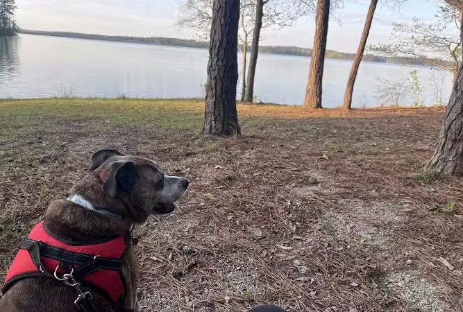 Dames Ferry Park - Juliette, GA