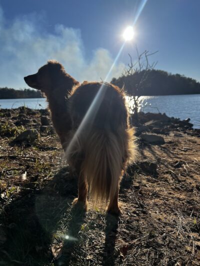 Holly Grove Park - Juliette, GA