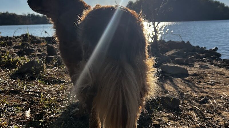 Holly Grove Park - Juliette, GA