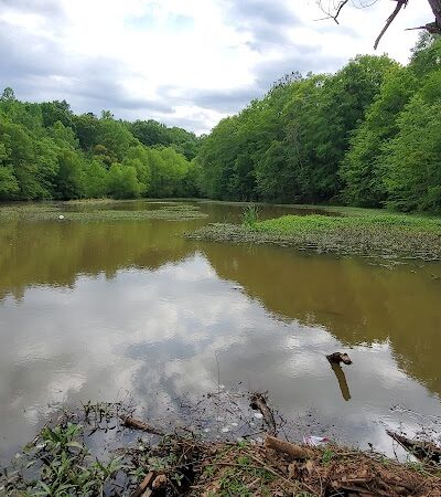 Holly Grove Park - Juliette, GA