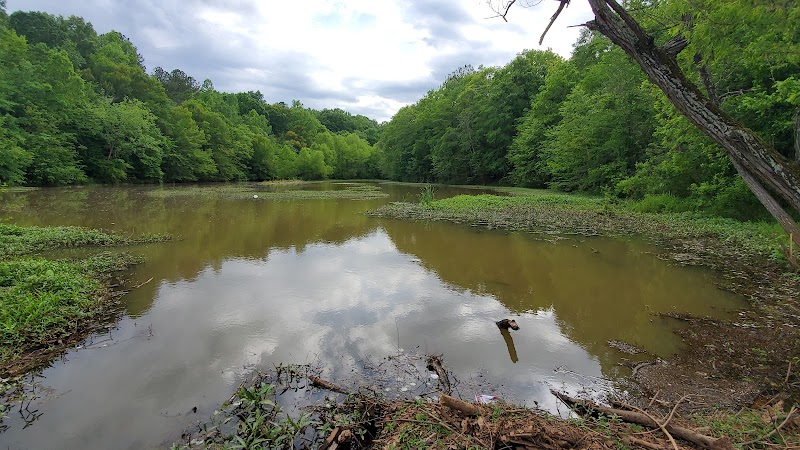 Holly Grove Park - Juliette, GA