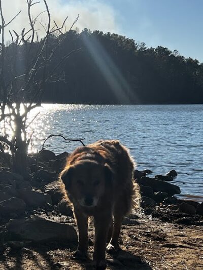 Holly Grove Park - Juliette, GA