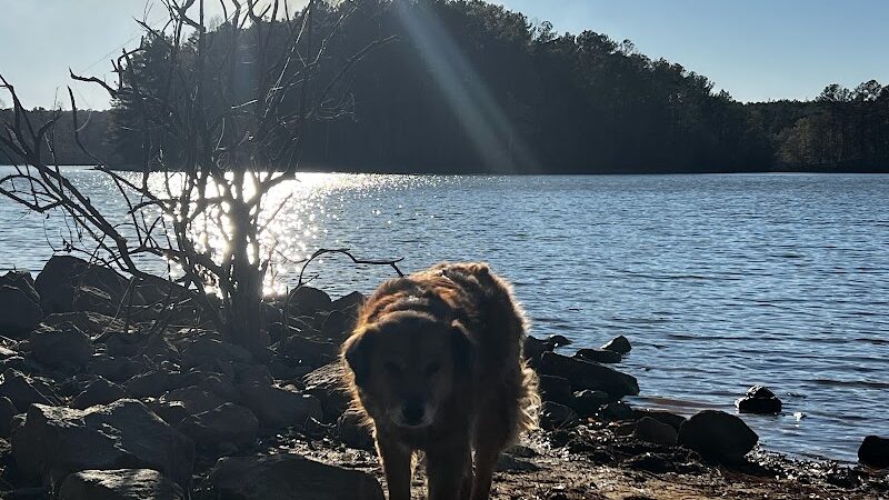 Holly Grove Park - Juliette, GA