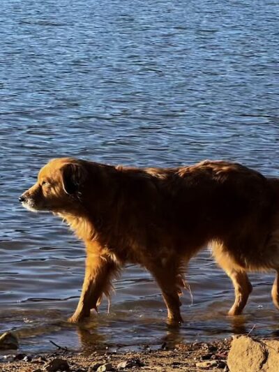 Holly Grove Park - Juliette, GA