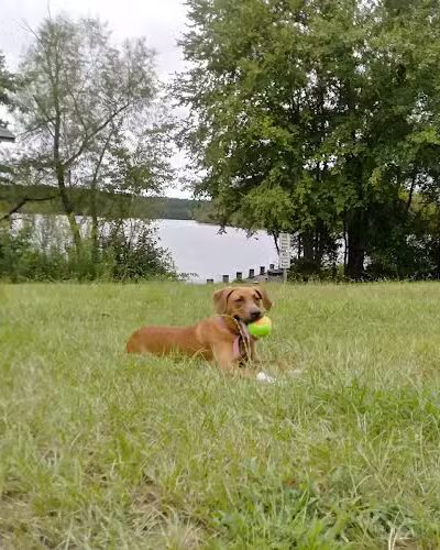 Holly Grove Park - Juliette, GA