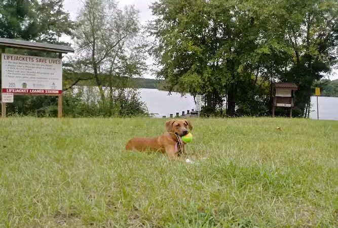 Holly Grove Park - Juliette, GA