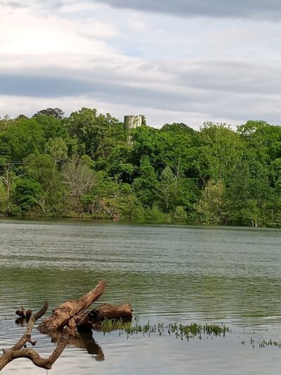 Juliette Dam - Juliette, GA