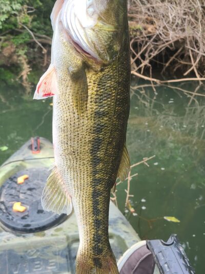 Juliette Dam - Juliette, GA