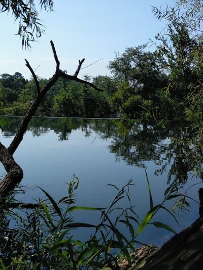 Juliette Park On Ocmulgee River - Juliette, GA