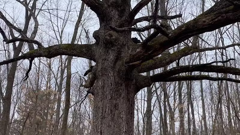 Blanche Hull Park - Kalamazoo,