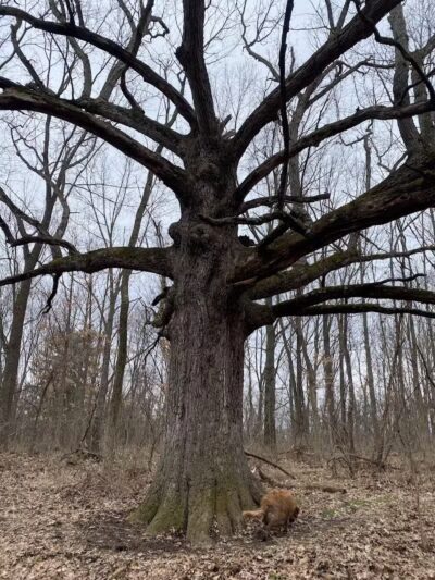 Blanche Hull Park - Kalamazoo,
