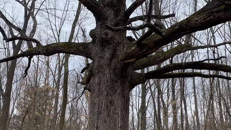 Blanche Hull Park - Kalamazoo,