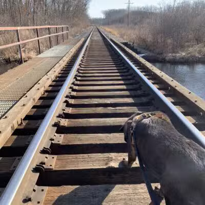 Blanche Hull Park - Kalamazoo,