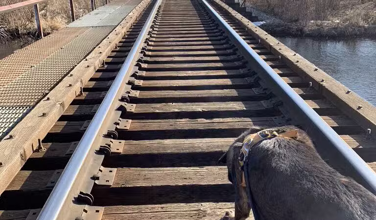 Blanche Hull Park - Kalamazoo,