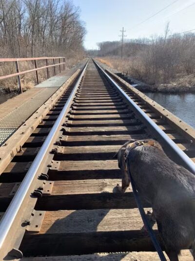 Blanche Hull Park - Kalamazoo,