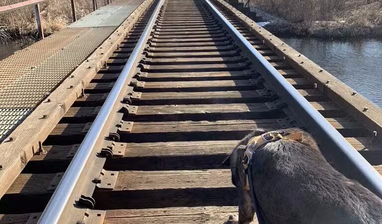 Blanche Hull Park - Kalamazoo,