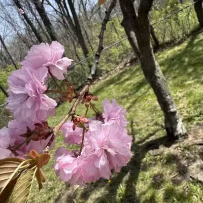 Blanche Hull Park - Kalamazoo,