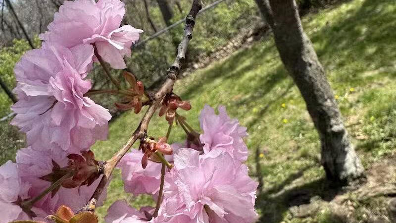 Blanche Hull Park - Kalamazoo,