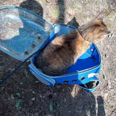 Blanche Hull Park - Kalamazoo,