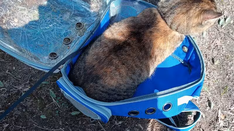 Blanche Hull Park - Kalamazoo,