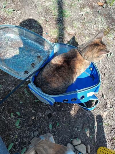 Blanche Hull Park - Kalamazoo,