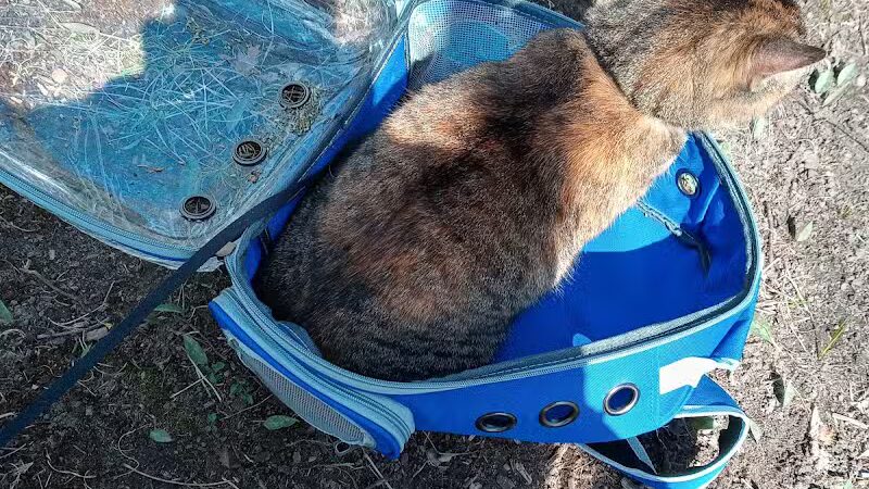 Blanche Hull Park - Kalamazoo,